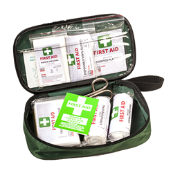 Apteczka samochodowa 2